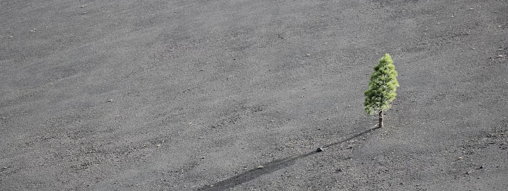 Always get your headings right, a guide to dynamic HTML headings